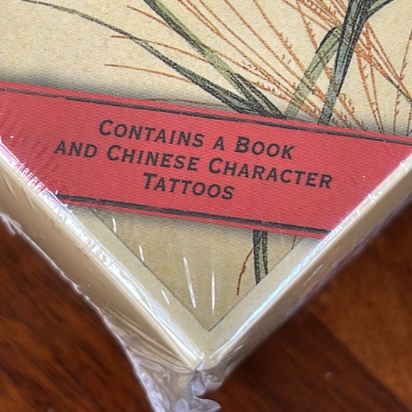 CHINESE CHARACTERS: THE ART OF PAINTING THE WORD - SEALED - Picture 4 of 5